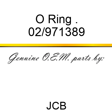 O Ring . 02/971389