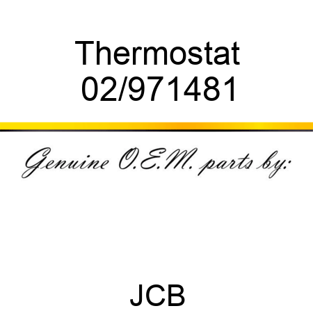Thermostat 02/971481