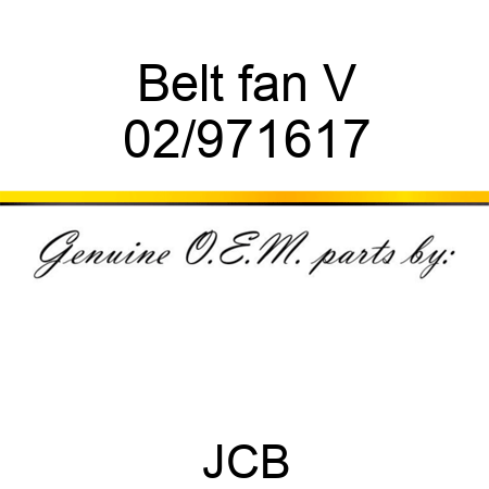 Belt fan V 02/971617