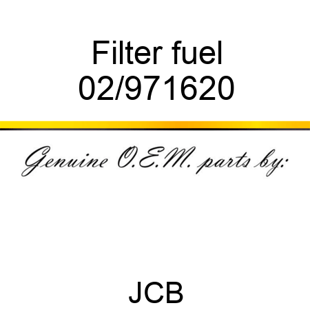 Filter fuel 02/971620