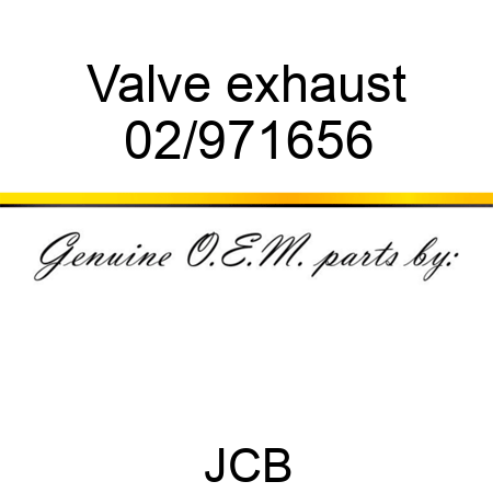 Valve exhaust 02/971656