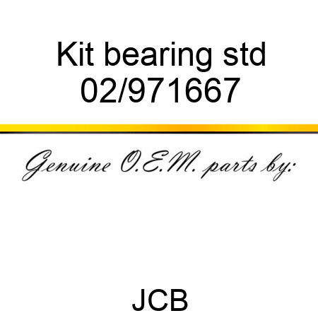 Kit bearing std 02/971667