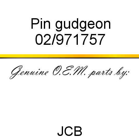 Pin, gudgeon 02/971757