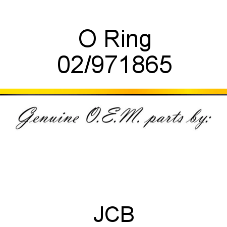 O Ring 02/971865