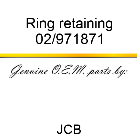 Ring retaining 02/971871