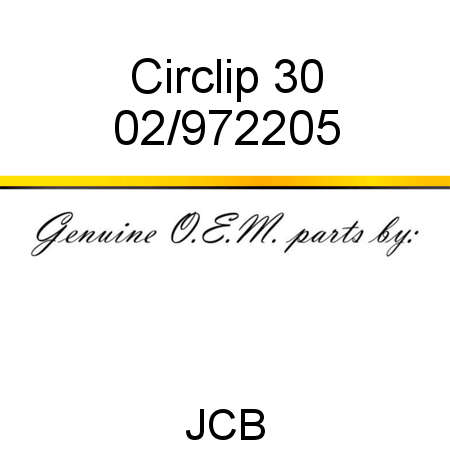 Circlip, 30 02/972205