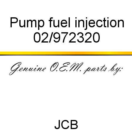 Pump, fuel injection 02/972320