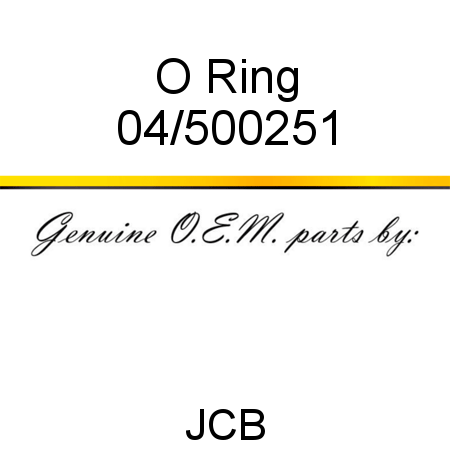 O Ring 04/500251
