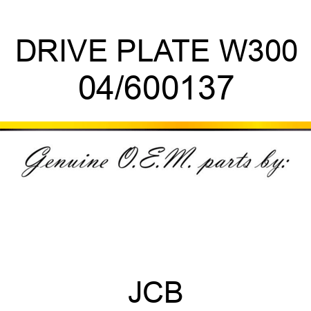 DRIVE PLATE W300 04/600137