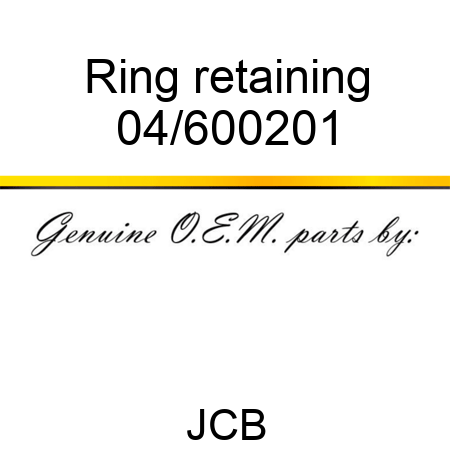 Ring retaining 04/600201