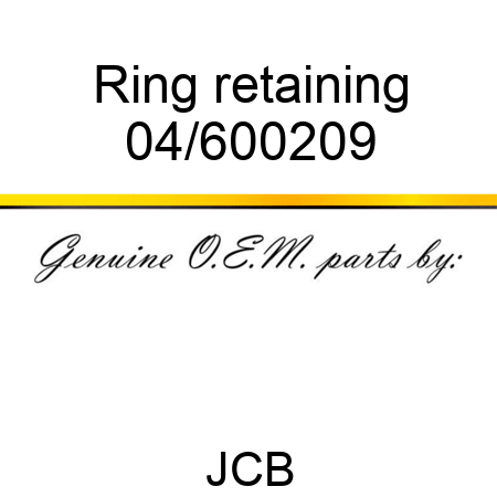 Ring retaining 04/600209
