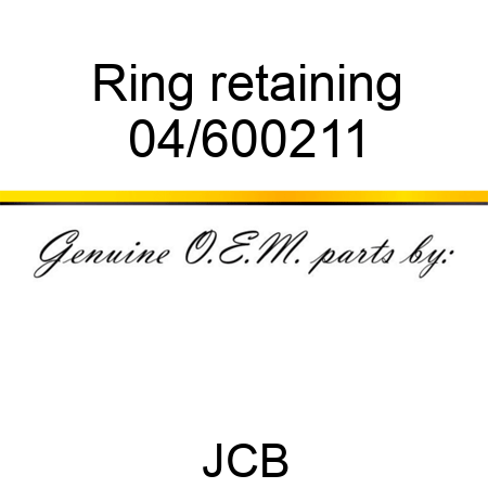 Ring retaining 04/600211