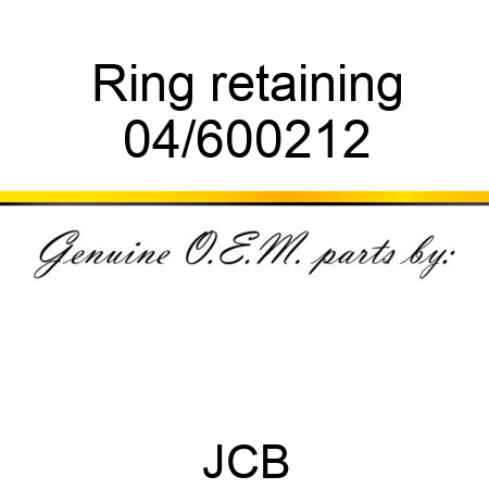Ring retaining 04/600212