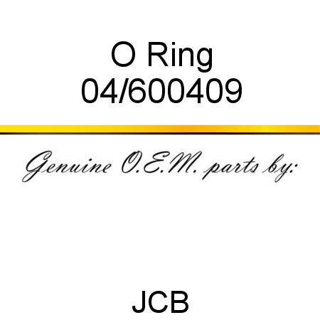 O Ring 04/600409