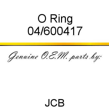 O Ring 04/600417
