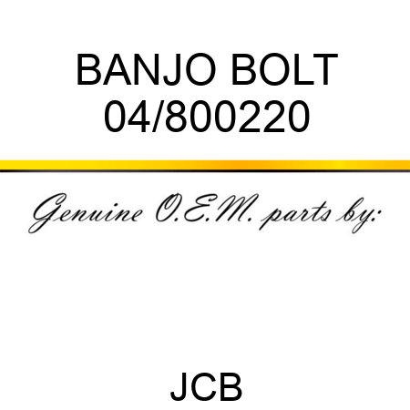 BANJO BOLT 04/800220