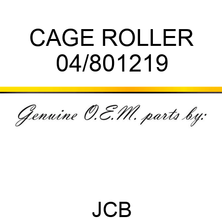 CAGE ROLLER 04/801219