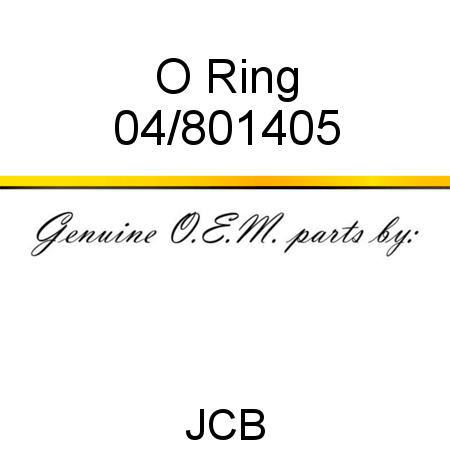 O Ring 04/801405