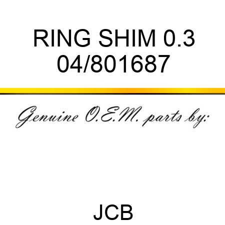 RING SHIM 0.3 04/801687