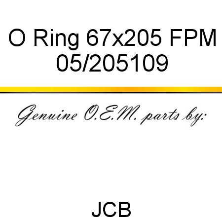 O Ring, 67x205 FPM 05/205109