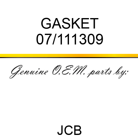 GASKET 07/111309