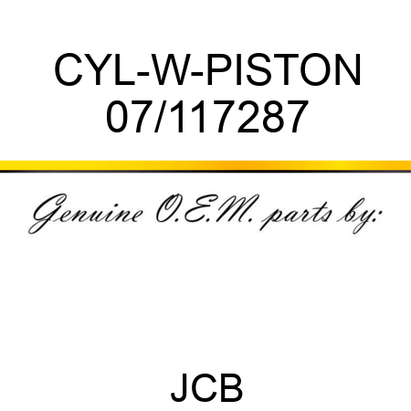 CYL-W-PISTON 07/117287