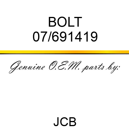 BOLT 07/691419