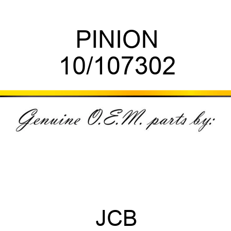 PINION 10/107302
