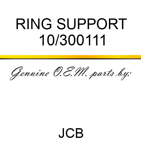RING SUPPORT 10/300111