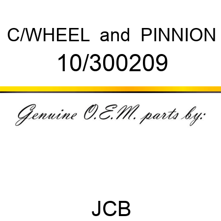 C/WHEEL & PINNION 10/300209