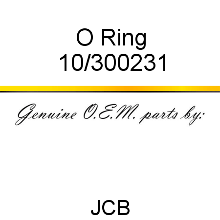 O Ring 10/300231