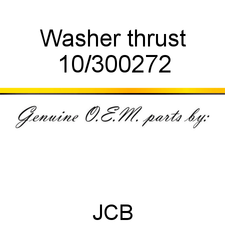 Washer, thrust 10/300272