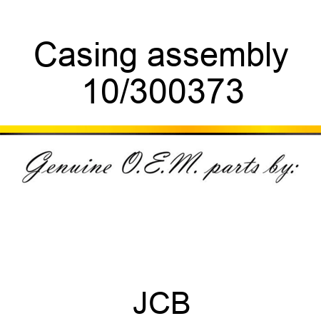 Casing assembly 10/300373