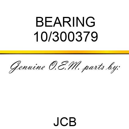 BEARING 10/300379