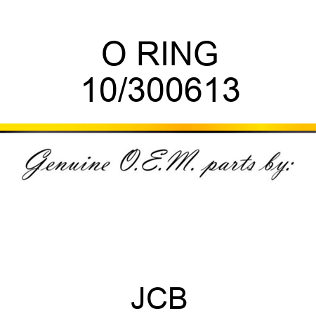 O RING 10/300613