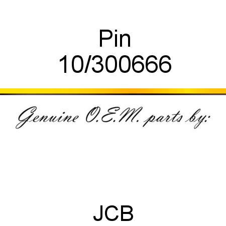 Pin 10/300666