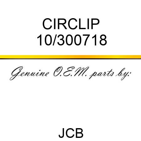 CIRCLIP 10/300718
