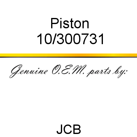 Piston 10/300731