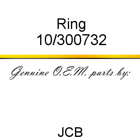 Ring 10/300732