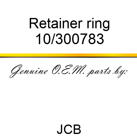 Retainer ring 10/300783