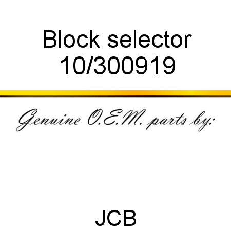 Block, selector 10/300919