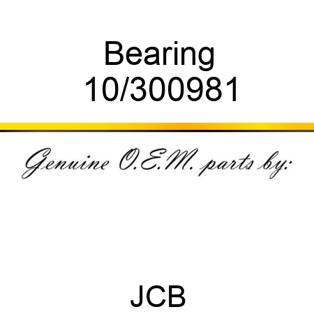 Bearing 10/300981