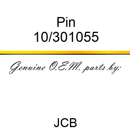 Pin 10/301055