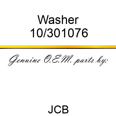 Washer 10/301076