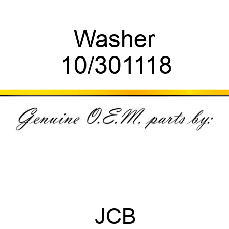 Washer 10/301118