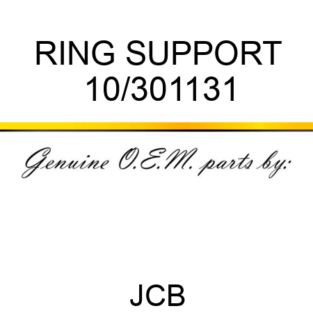 RING SUPPORT 10/301131