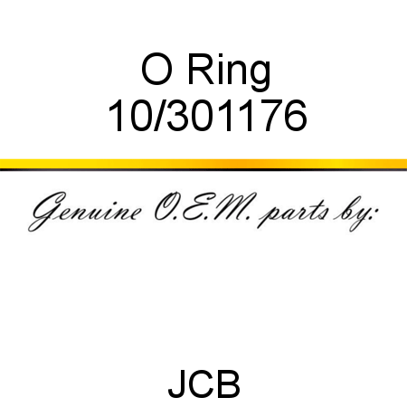 O Ring 10/301176