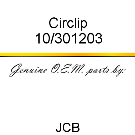 Circlip 10/301203