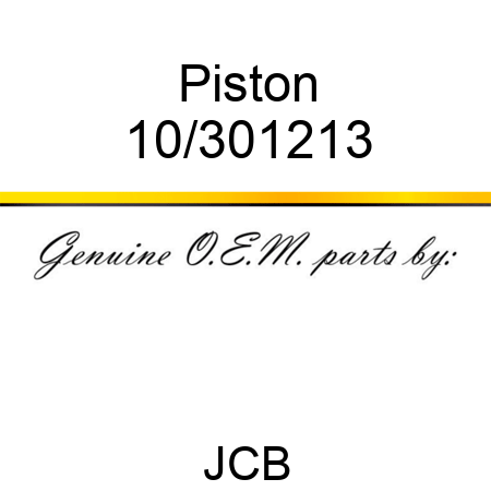 Piston 10/301213