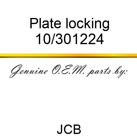 Plate locking 10/301224